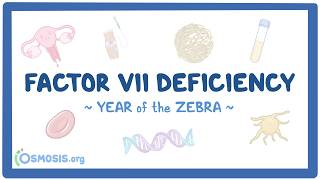 Factor VII deficiency (Year of the Zebra 2026)