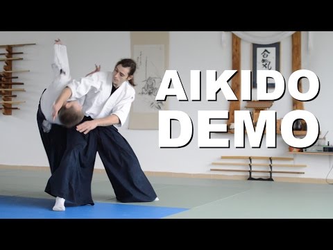 Aikido Demonstration 2016 - 2017