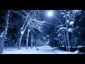 Randall King - "White Christmas Makes Me Blue" (Visualizer)