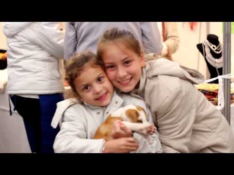 download lagu mp3 mp4 Fespal, download lagu Fespal gratis, unduh video klip Fespal