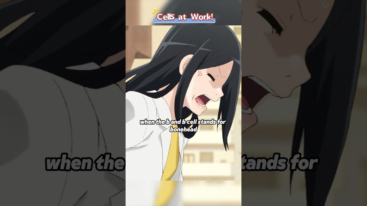 The quarrel between B cells and histamine #shorts #movie #cartoon