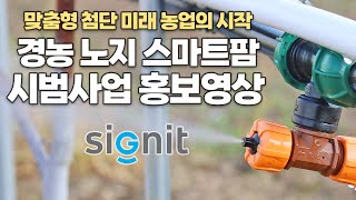 맞춤형 첨단 미래 농업의 시작! 경농 안동 사과 노지 스마트팜 시범사업 홍보영상