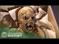 The 800 Year Old Mummy That Could Cure Modern Diseases