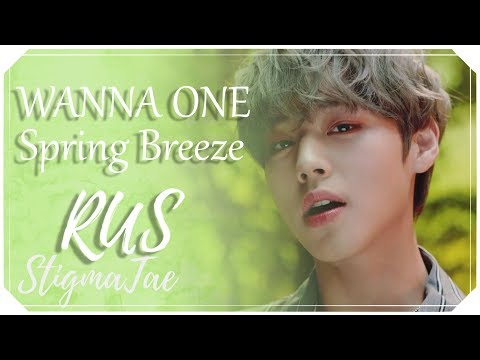 Wanna One - Spring Breeze [RUS COVER by StigmaTae] [RFSV19 for Ferria]