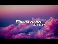 Ahmerdy - Bikin Aure (lyrical video)