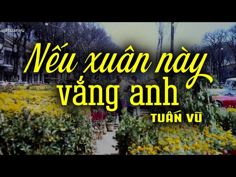 Nếu Xuân Này Vắng Anh - Tuấn Vũ (Tác giả: Bảo Thu) | Nhạc Vàng Xưa Bất Hủ