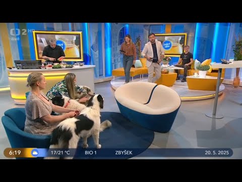 Tornjak v Dobrém ránu – 20. května 2025 