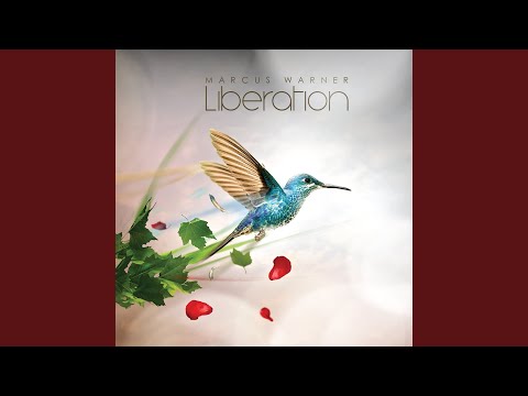 If Elephants Could Fly