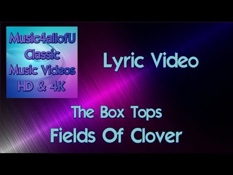 Fields Of Clover - Box Tops