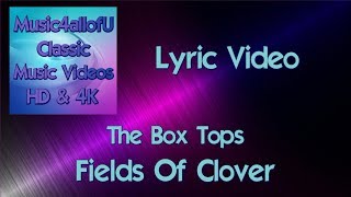 The Box Tops - Fields Of Clover (The Lyric Video)