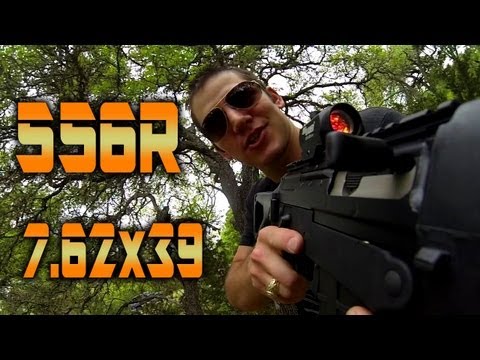 Sig Sauer 556R