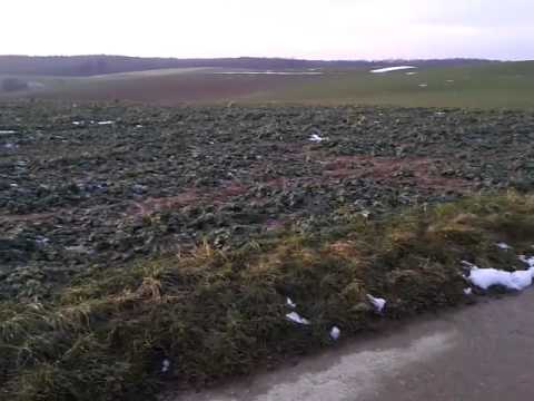 06 01 15 Ittlingen 1