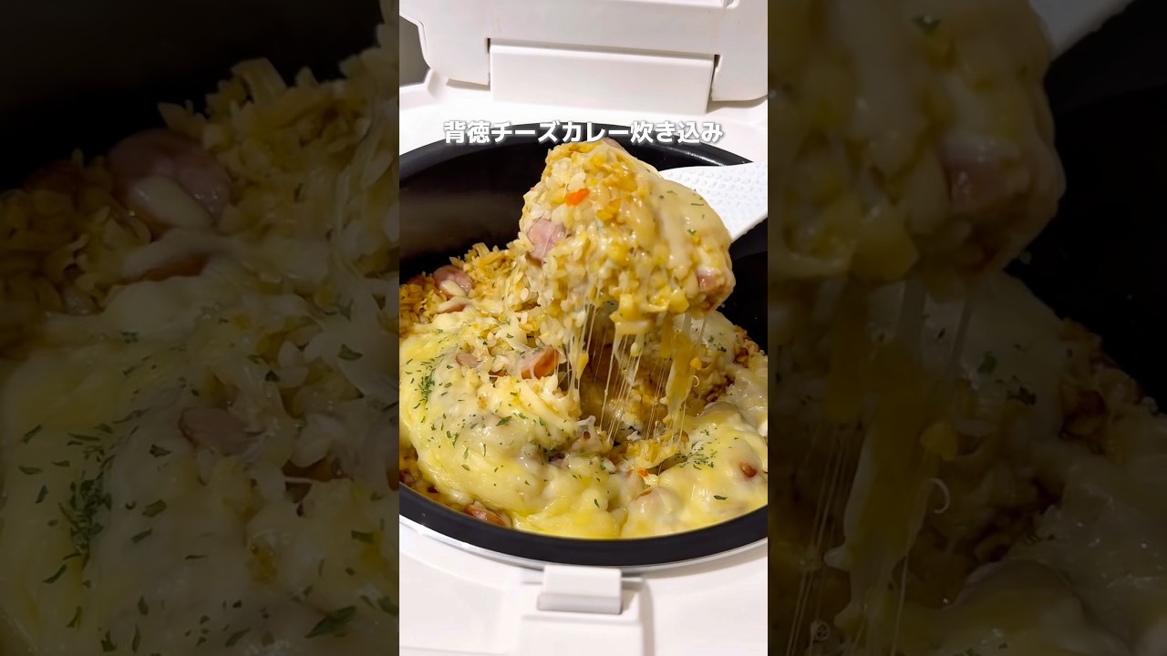 【カレー好きのインド人が大激怒】裏切りの背徳『チーズカレー』