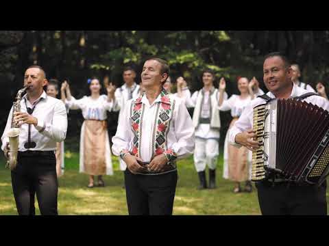 Lele Craciunescu - Lipova frumoasă