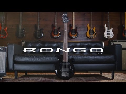 Bongo 6 HH 2010 Stealth Black - MINT CODITION image 6