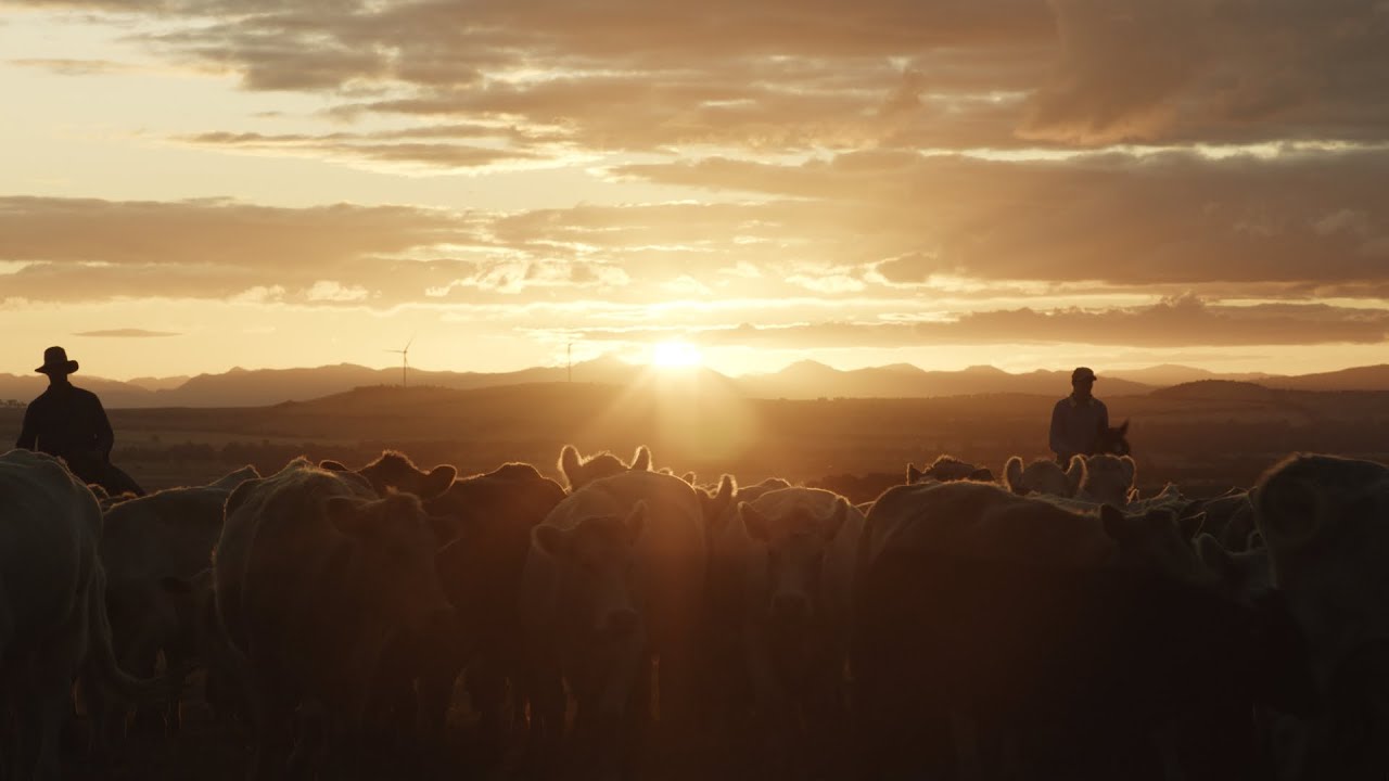JUST A FARMER - Official Trailer