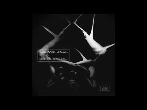 Traversable Message - Surface (Aleja Sanchez Remix) [NWR018]