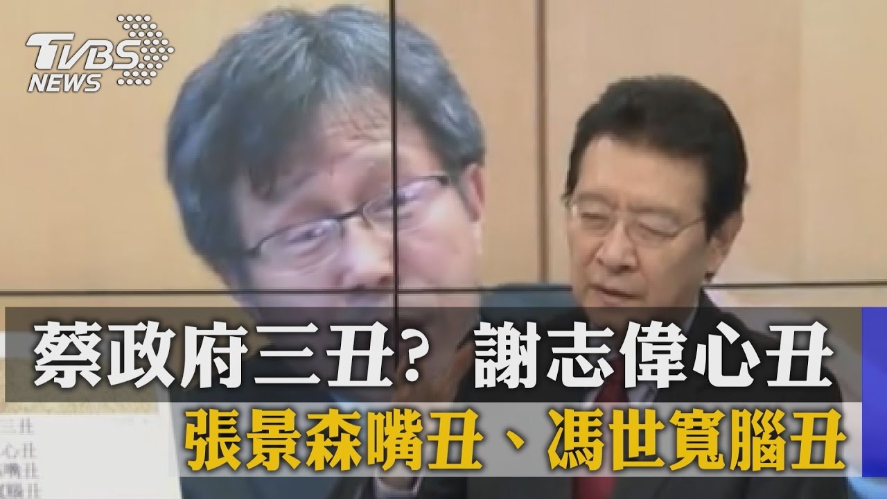 駐德代表回頭罵自己人 謝志偉忘記身分?