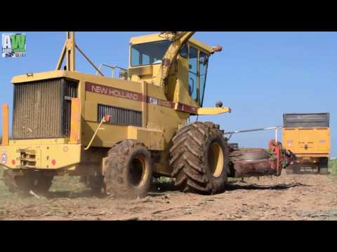 Silage 2016 - New Holland 2405 - Kemper Champion 4500