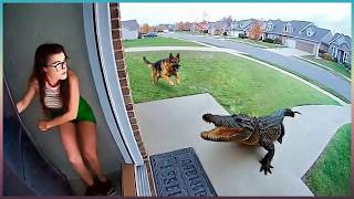 60 Hero Animals That Saved Human Lives!