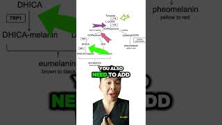 Download lagu Easy Path to glowing skin with @the_ventamin mp3 Download lagu Easy Path to glowing skin with @the_ventamin mp3