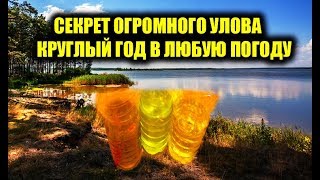 Клев рыбы на 5 дней юрьевец