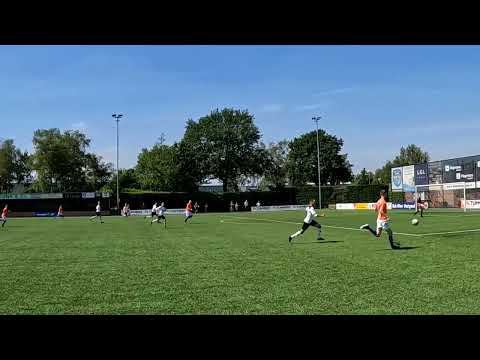 Samenvatting RBC - WSC 0-1