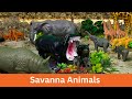 Meet African Safari Animals Savanna Diorama Craft Kids Fun Facts