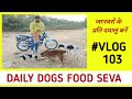 Daily Dogs Food Seva Vlog 103 365 Day Milk Bread Ki Seva Karte Hai Dailyvlog 365din Challenge