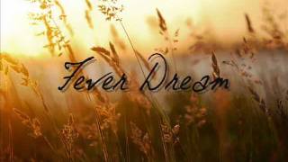 Iron and Wine - Fever Dream with lyrics (Requested)