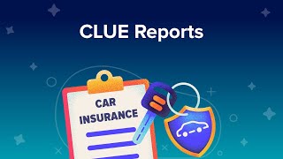 CLUE Reports