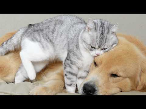 YouTube 썸네일