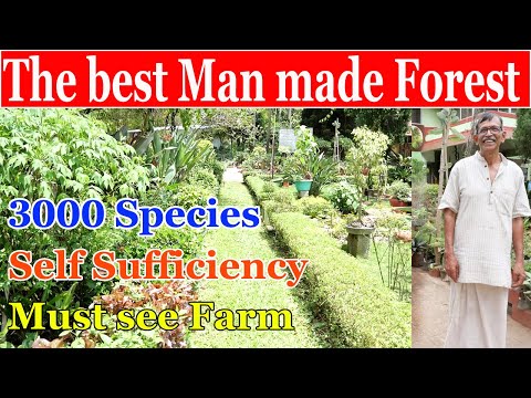 AP Chandrasekhar Man made forest| Best Natural Farm| Farming Guide for Young farmers