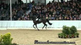 Video von Cantoblanco