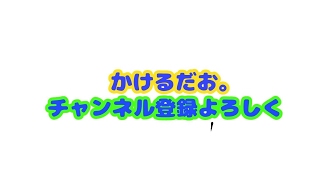 ほにょ配信
