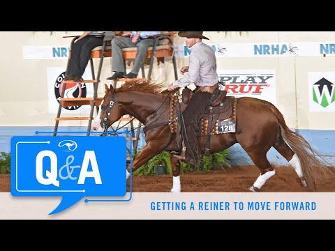 Getting a Reining Horse to Move Forward - Q&A With Clinton Anderson