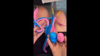 (Pt.2) Customizing a TWO headed doll 👨🏻‍🎤👩🏻‍🎤