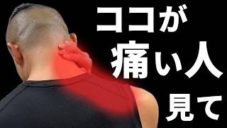 肩こりで悩むあなたへ｜自宅で実践できる即効性ストレッチ