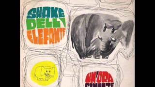Rare Italian Beat - Gli Aratari - Shake dell'elefante (1966)