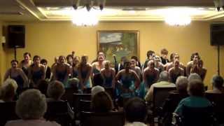 preview picture of video 'Upper Darby Summer Stage Shooting Stars at Symphony Square Retirement Ctr on 4/29/13'