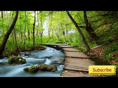 NSDR / Yoga Nidra: Eine Reise durch die Chakren mit Kamini Desai