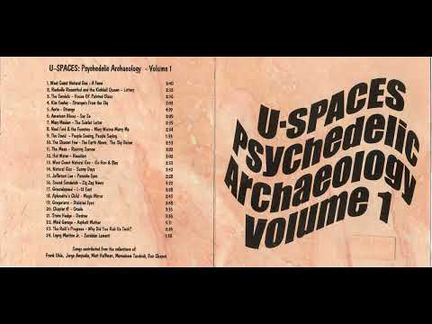 Psychedelic Archaeology Vol  1