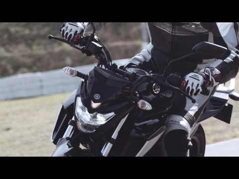 Yamaha Fz25 Motorcycle