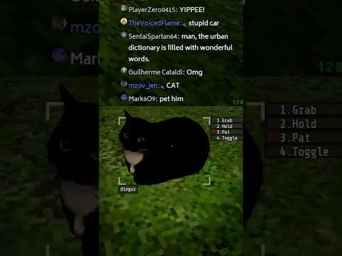 Found Maxwell in Voices of The Void #maxwell #gaming #votv #cat  #funny