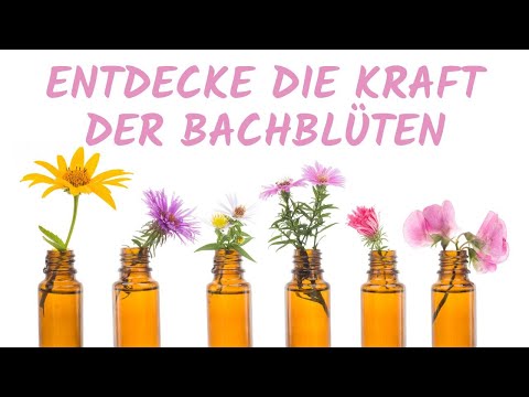 Entdecke die Kraft der Bachblüten