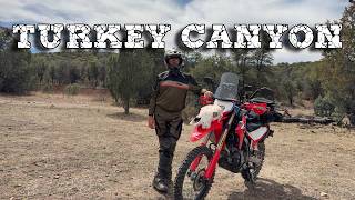 Dual Sport Adventure | Turkey Canyon Arizona Honda CRF300L