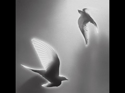 Hindia - Everything U Are (1 Hour)