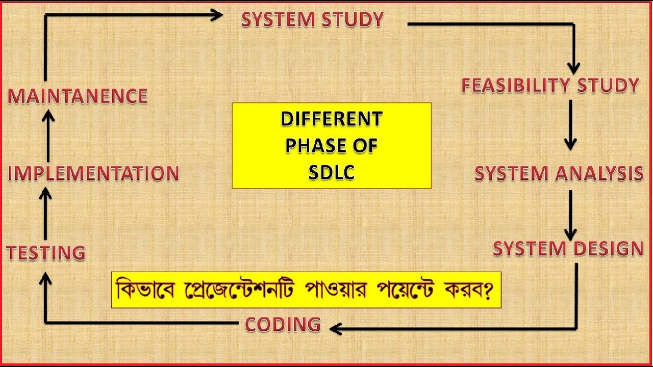 Presentation of System Development Life Cycle II Power point presentation