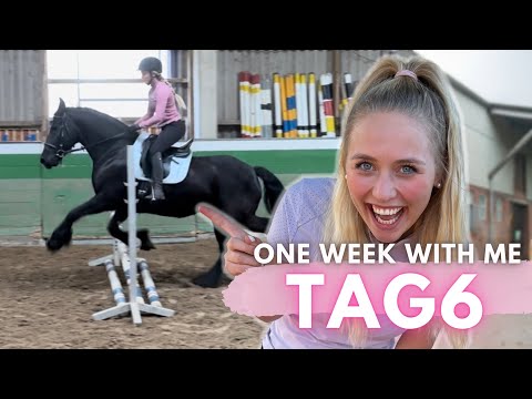 Ich SPRINGE einen FRIESEN!!