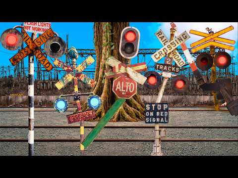 The Railroad Crossing and the Giant Tree